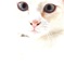 まなざし
