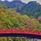 あき　2014