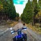山の中の直線ダート