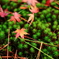 2013-11-23-16-09-31