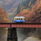 電池鉄道