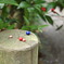 sanshoku dango