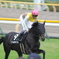 東京競馬場
