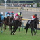 東京競馬場