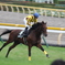 東京競馬場