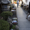 京都散策