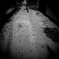 DSCF5111