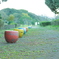公園。