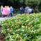 雨の動物園