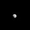 元旦月食-4
