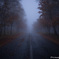 silent hill
