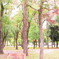 奈良公園