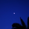 Arabian Nights stories