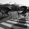 rickshaw