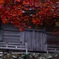 高源寺