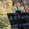 中津峡の名所