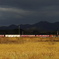 貨物列車の走る風景