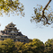 そこに見えるは岡山城