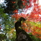 瑞宝寺公園 枝分かれ