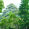 岡山城