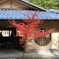 秋を探して2014@古峯神社_16