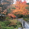 秋を探して2014@古峯神社_17