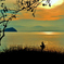 湖北秋夕映