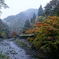 朝の高雄