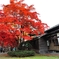14年11月 中央公民館（岩手県盛岡市）