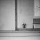 犬山三景 一輪挿し