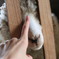 気持ちいいね〜