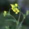 あの日の・・・