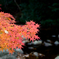 るり渓～紅葉１