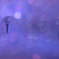 In the rain