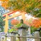 石碑と紅葉