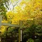 箱根神社武道場