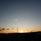 P1010698