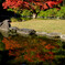 '14紅葉