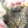 floral cat