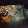 fall
