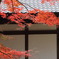 山寺