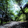 Gravel road.