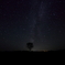 the Milky Way.