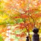 秋の横蔵寺　８