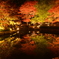 鏡面紅葉　②