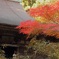 悉地院
