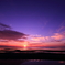 in the twilight