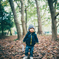 In an autumn forest