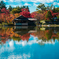 昭和記念公園　日本庭園
