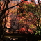 那須高原の紅葉